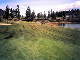 ShannonBeforeAltered Shannon Lake Golf Course Before Natures Gold Fertilization
