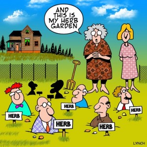 herb_garden_1089155